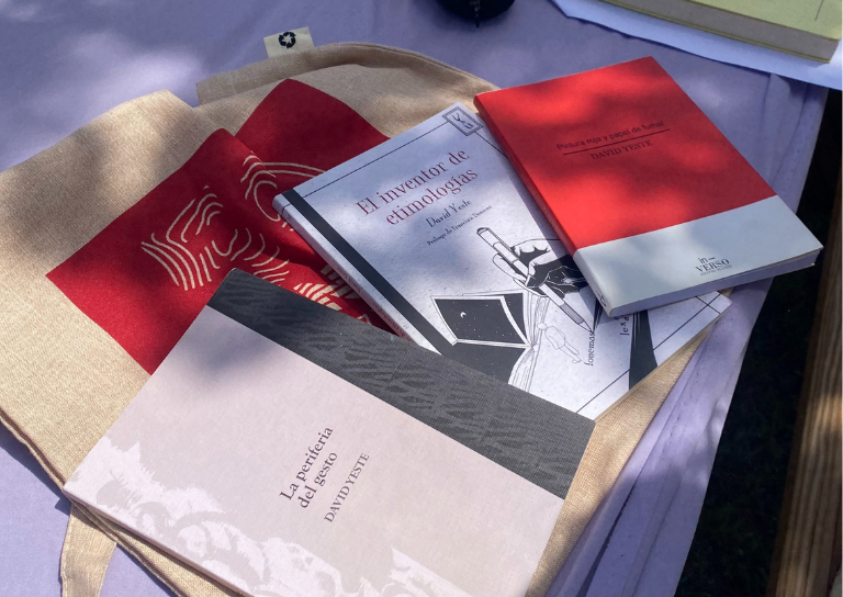 Imatge on veiem un llibre